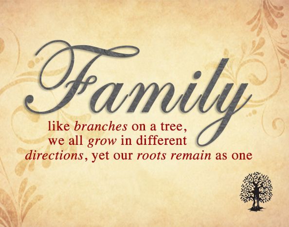 Family Like Branches on a Tree, we All Grow in Different Directions Yet Our Roots Remain As One