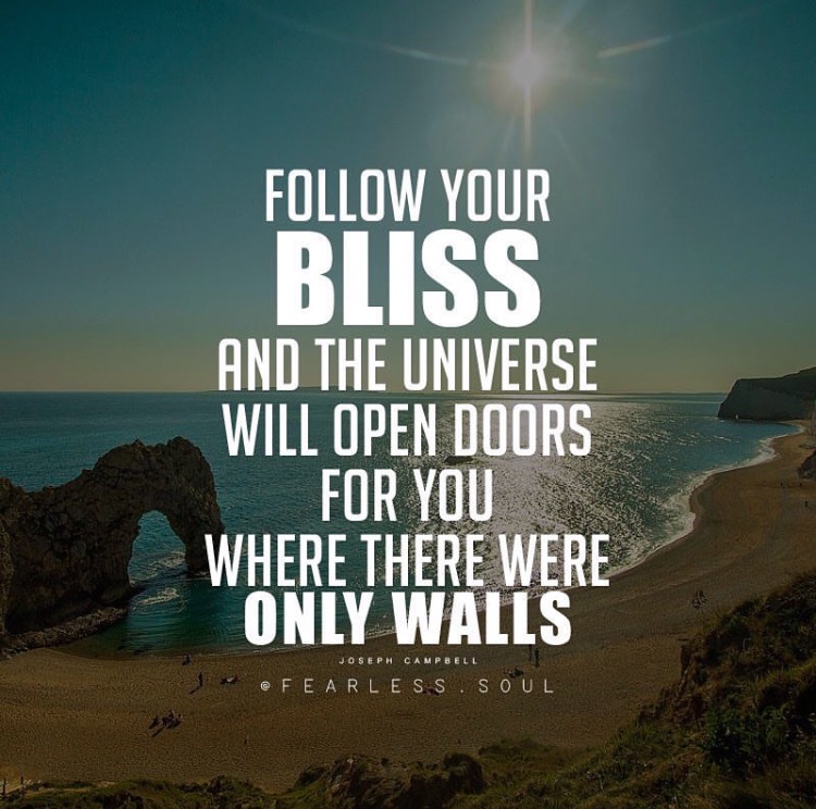 Follow your bliss and the universe will open doors where there were only walls. Joseph Campbell