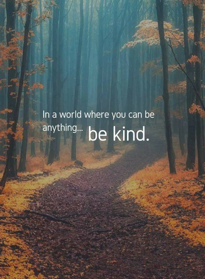 In a world where you can be anything…. Be Kind.