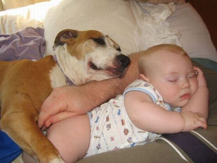 Kid sleeping with dog funny picture