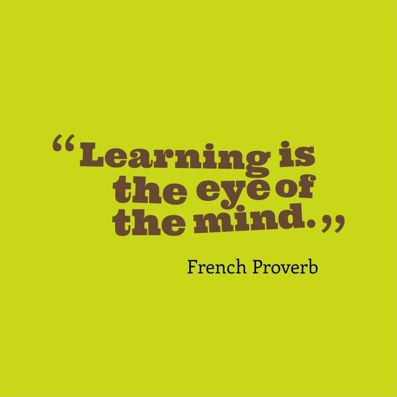 Learning is the eye of the mind. French Proverb