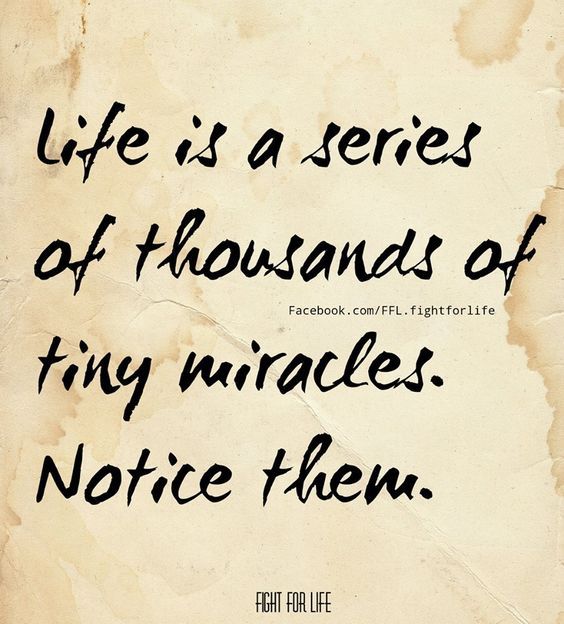 Life is a series of thousands of tiny miracles notice them