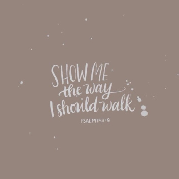 Show me the way i should walk