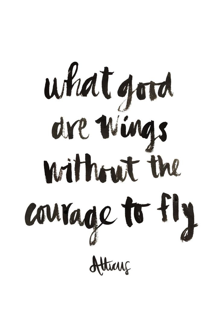 What good are wings without the courage to fly. Atticus