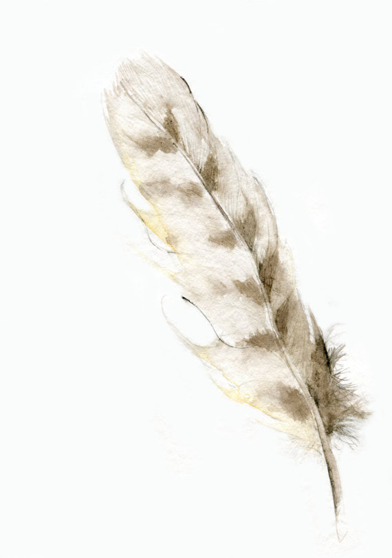 White & Grey Realistic Owl Feather Tattoo Design