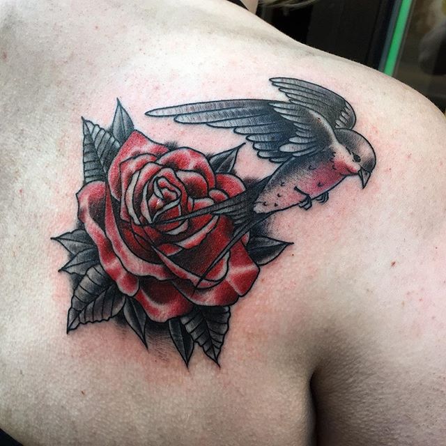 Wonderful Dark Grey Swallow With Red Rose Tattoo On Back Shoulder