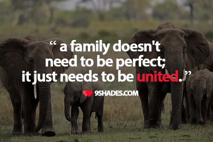 a family doesnt need to be perfect it just needs to be united
