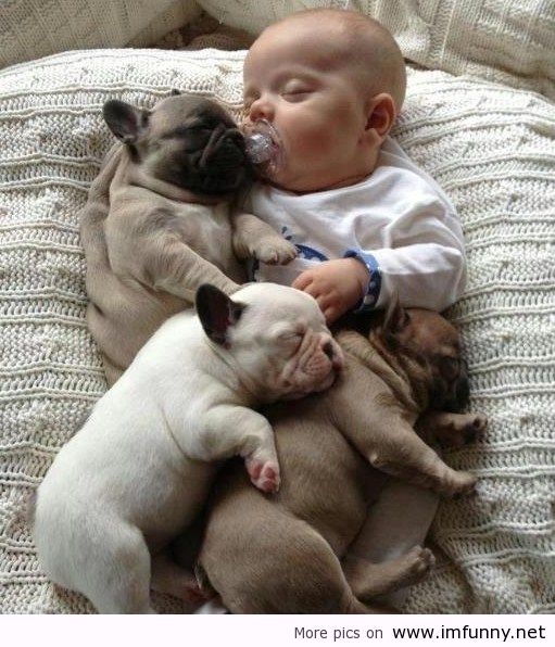 kid sleeping with puppies funny picture
