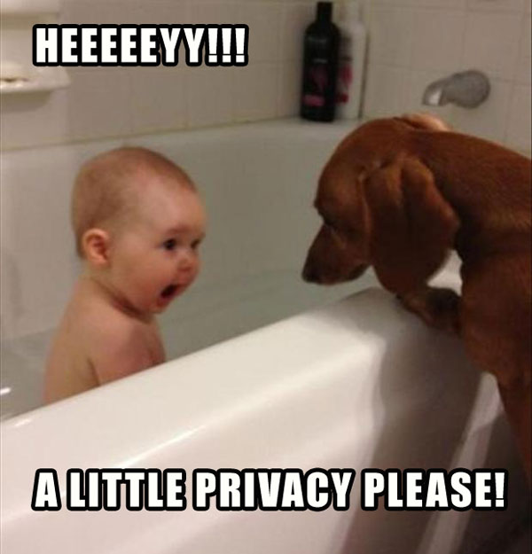 kid taking a bath with dog funny picture