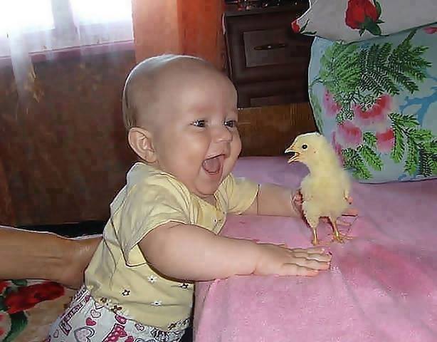 kid with chick funny picture