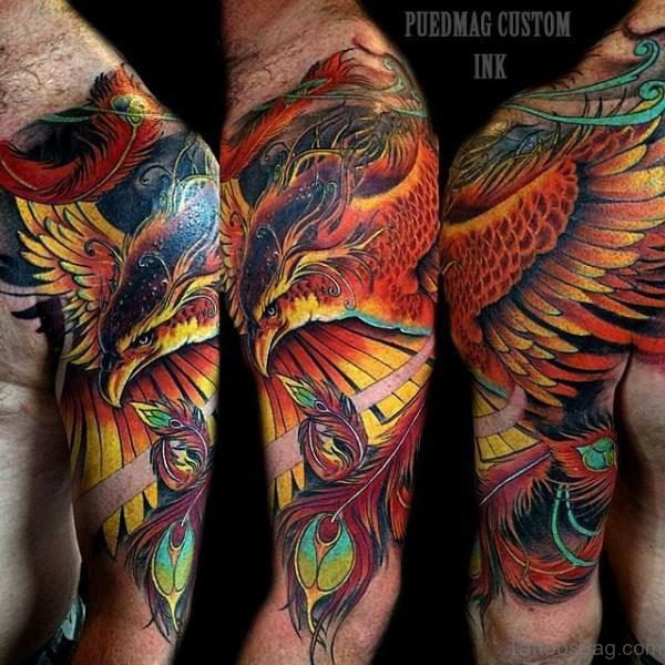 Amazing Colorful Phoenix Tattoo On Male Right Shoulder