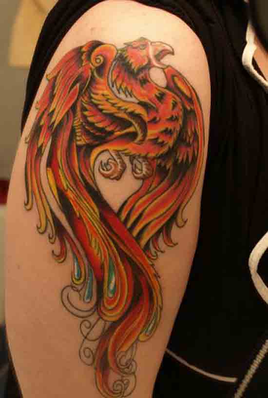 Colorful phoenix tattoo design for male shoulder