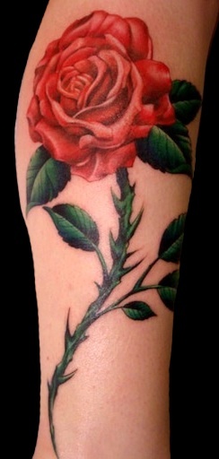 Feminine Red rose with green leaves and stem tattoo on leg