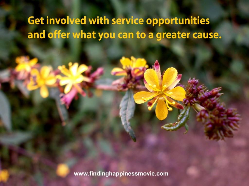 Get involved with service opportunities and offer what you can to a greater cause