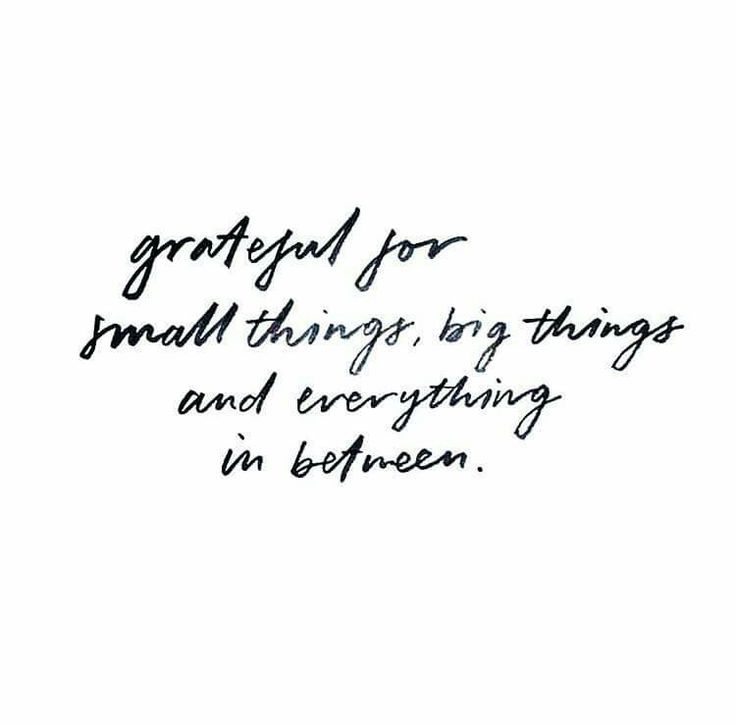 Grateful for small things, big things, and everything in between.