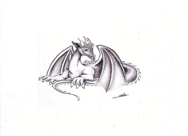 Grey Ink Baby Dragon Tattoo Design By Garrett Wright