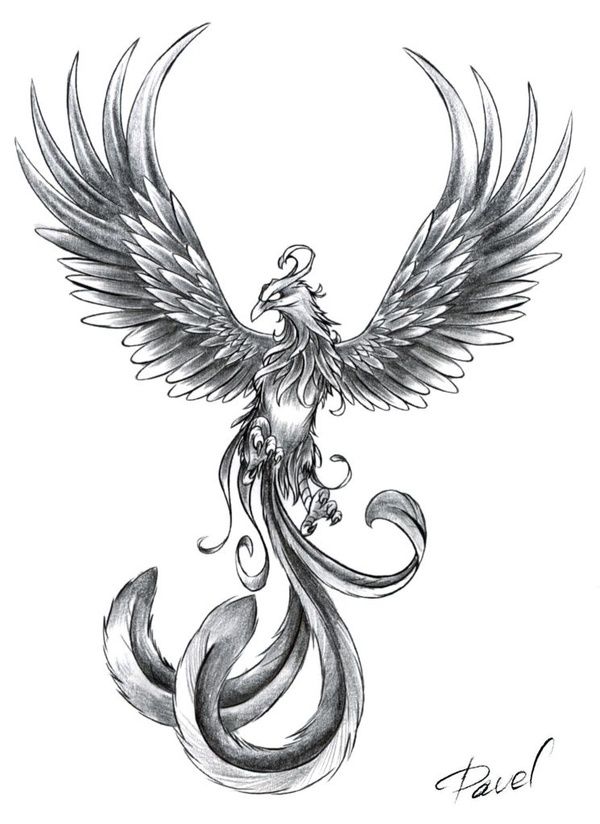 Grey Ink Phoenix tattoo stencil