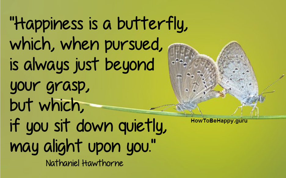 Happiness is a butterfly, which when pursued, is always just beyond your grasp, but which, if you will sit down quietly, may alight upon you. Nathaniel Hawthorne