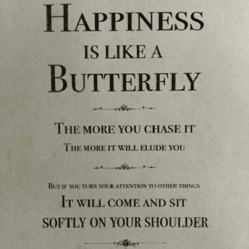 Happiness is like a butterfly the more you chase it the more it will elude you but if you turn your attention to other things it will come and sit softly on your shoulder