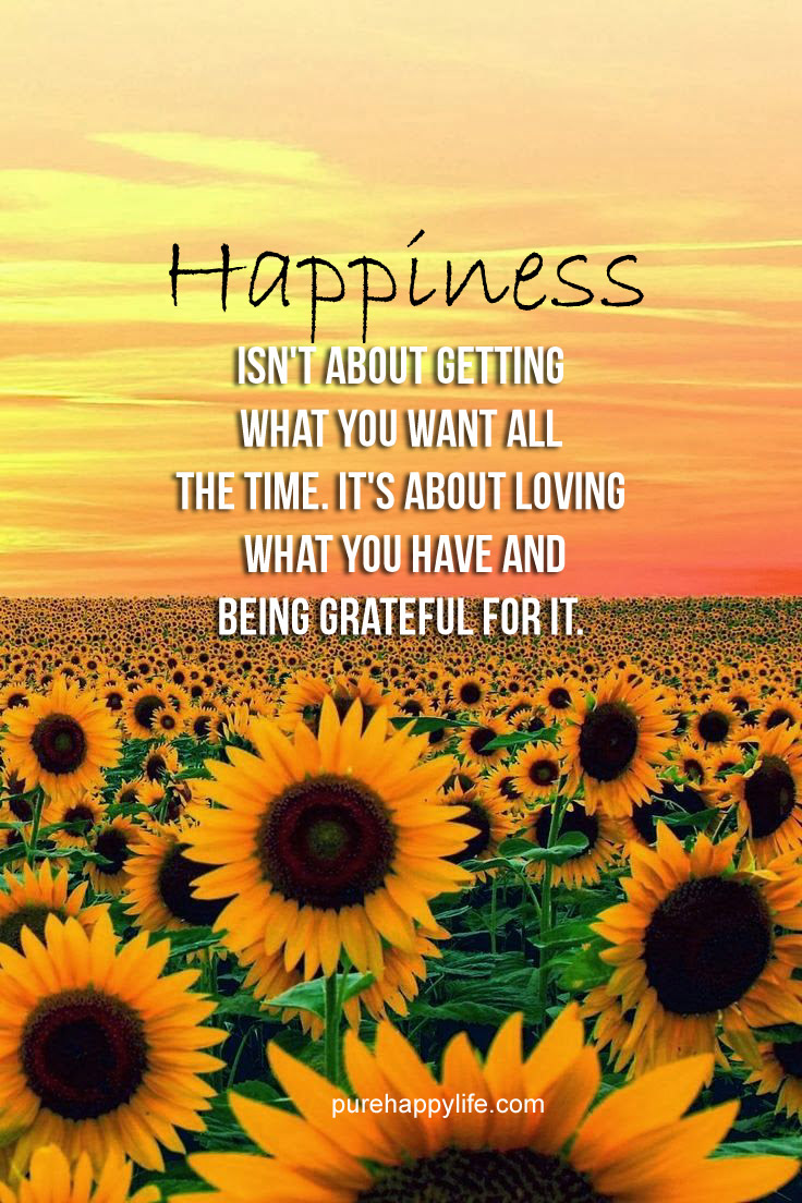 Happiness isn’t about getting what you want all the time. It’s about loving what you have and being grateful for it.