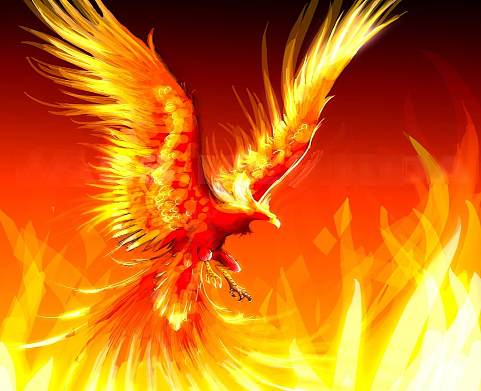 Phoenix Rising On Flames Tattoo Design