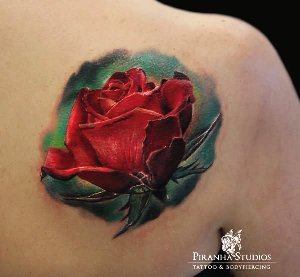 Realistic red rose tattoo on women back shoulder