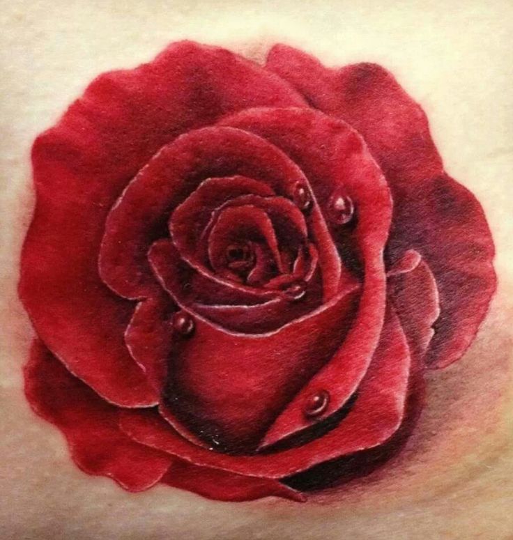Realistic red rose with dew drops tattoo design