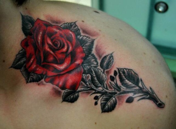 Red Rose Tattoo with Black Leaves On Shoulder