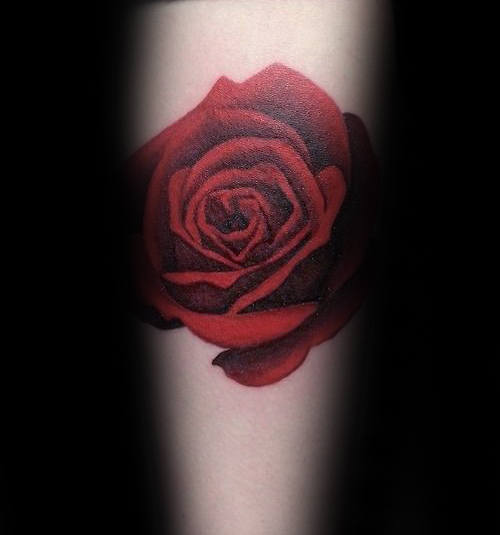 Simple Realistic Red Rose Flower Forearm Tattoo