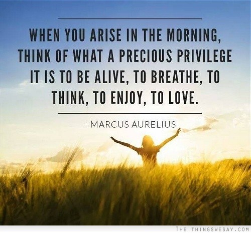 When you arise in the morning, think of what a precious privilege it is to be alive – to breathe, to think, to enjoy, to love. – Marcus Aurelius