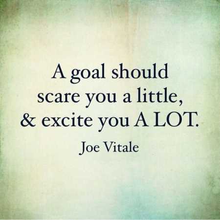 A goal should scare you a little, & excite you alot. Joe Vitale