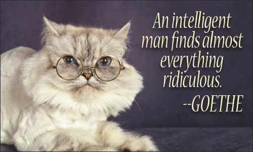 An Intelligent man finds almost everything ridiculous – Goethe