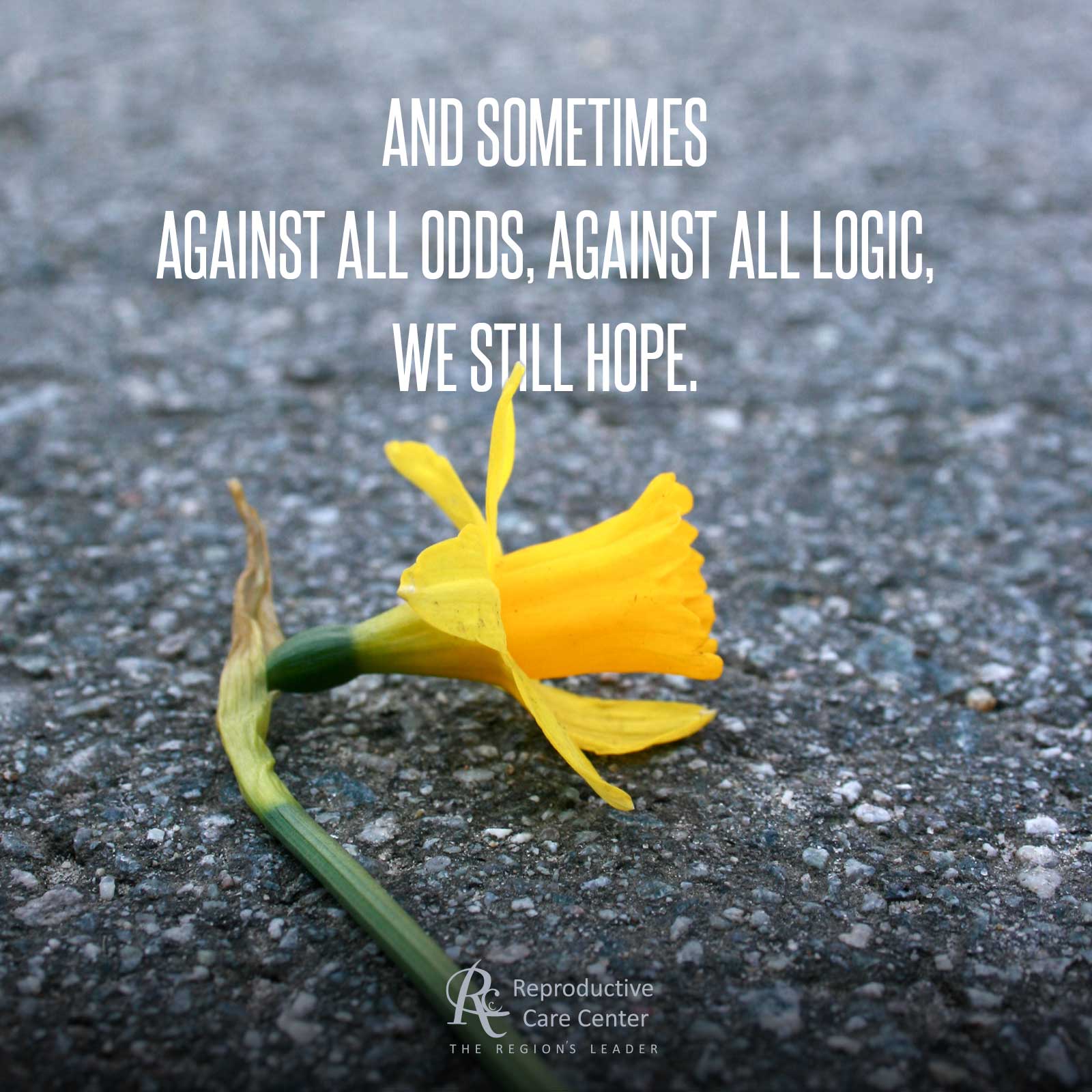 And sometimes against all odds, against all logic, we still hope