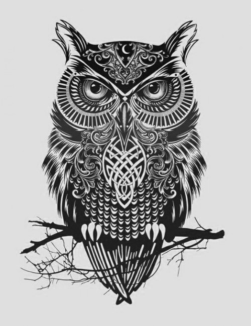 Black and White Beautiful Owl Tattoo Design