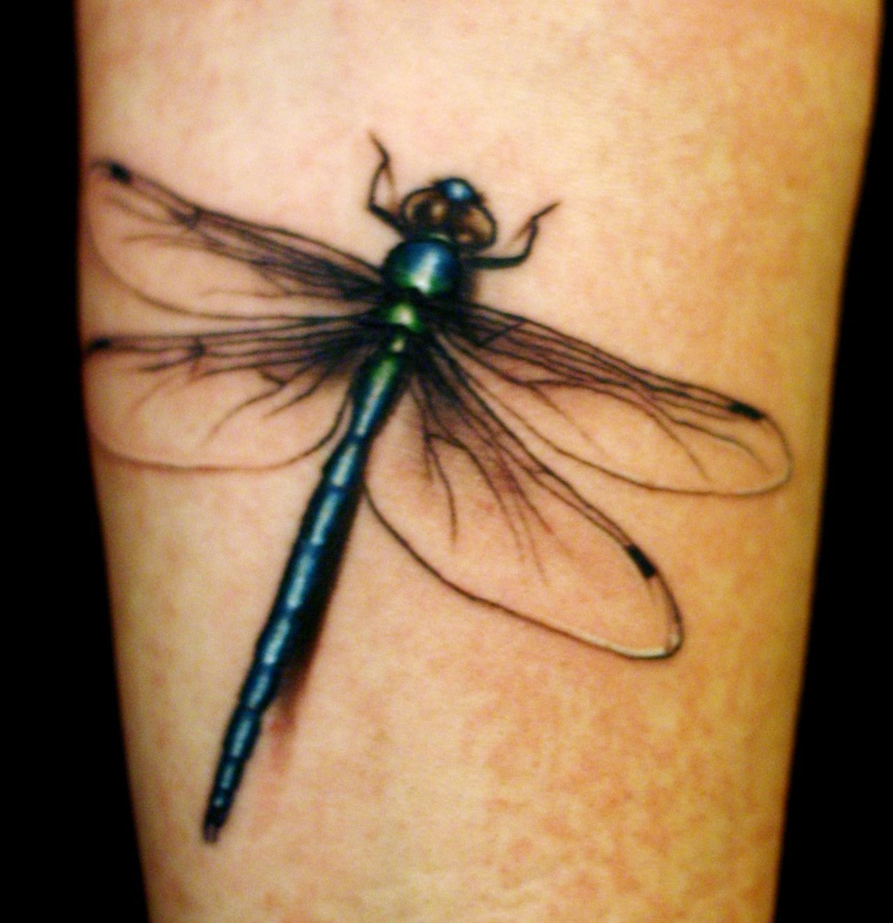 Black outline wings & coloured dragonfly tattoo on arm