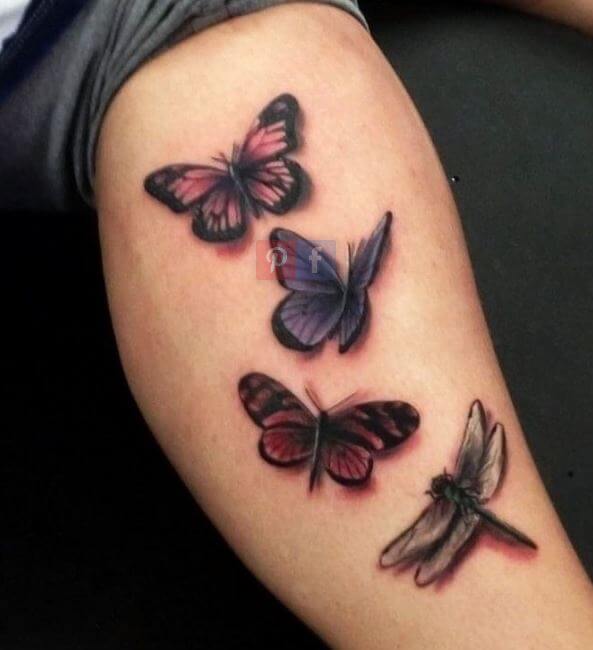 Colorful dragonfly and butterfly tattoo on sleeve