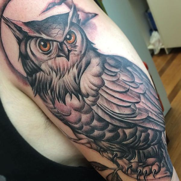 Cute Realistic Owl Tattoo On Sleeve For Men