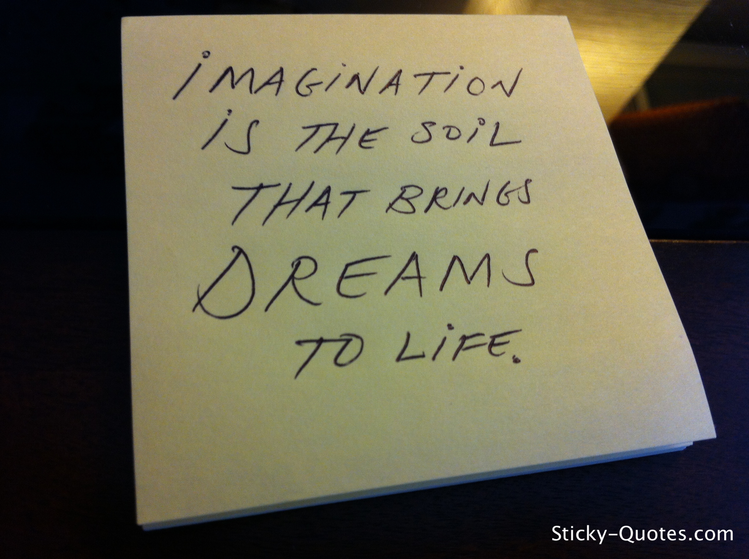 Imagination Is the soil that brings dreams to life