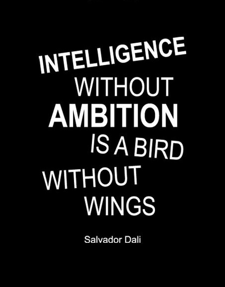 Intelligence without ambition is a bird without wings – Salvador Dali