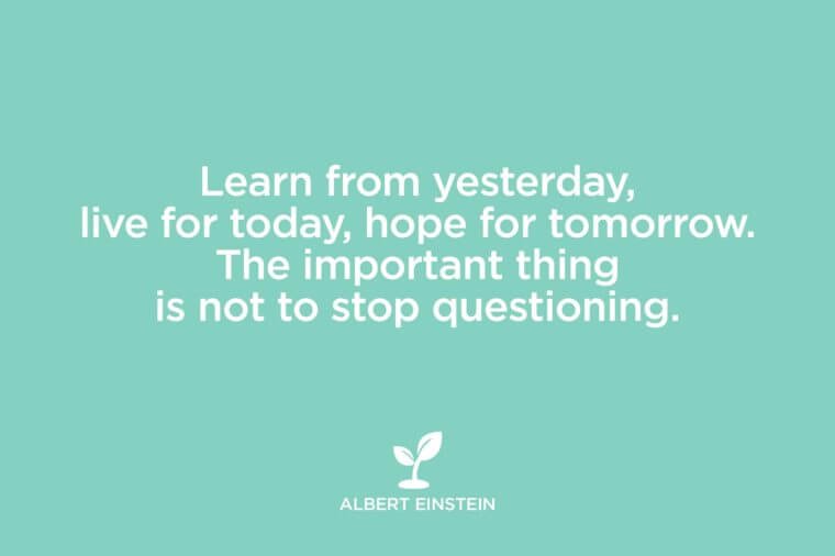 Learn from yesterday, live for today, hope for tomorrow. The important thing is not to stop questioning. Albert Einstein