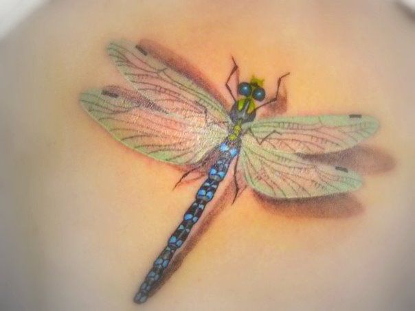 Realistic 3D colored dragonfly tattoo
