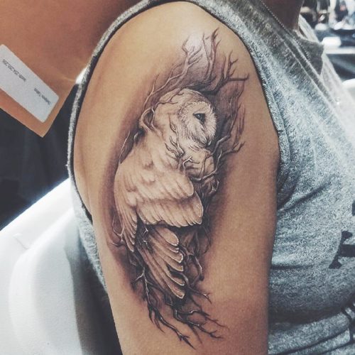 Realistic white barn owl tattoo on girl shoulder