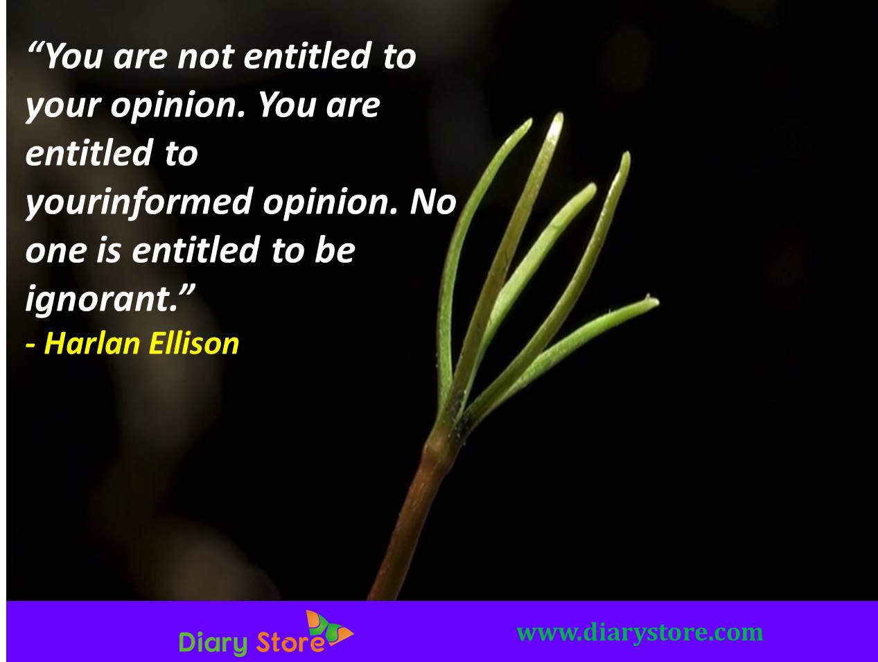 You are not entitled to your opinion you are entitled to your informed opinion no one is entitled to be ignorant – Harlan Ellison