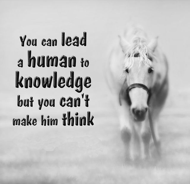 You can lead a human to knowledge but you can’t make him think.