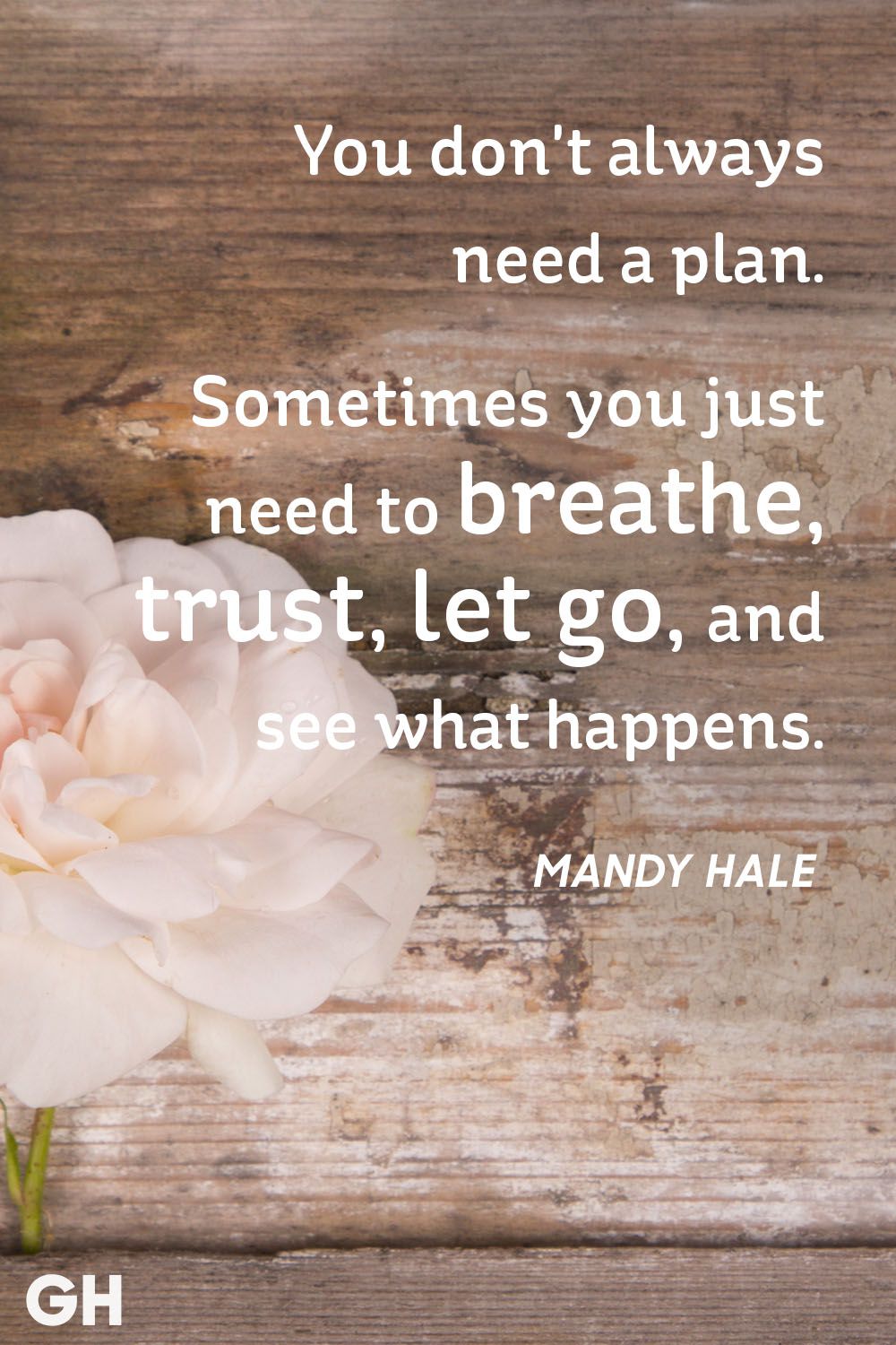 You don’t always need a plan. Sometimes you just need to breathe, trust, let go, and see what happens. Mandy Hale