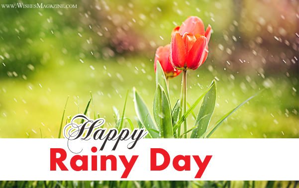 40 Best Rainy Day Wish Pictures And Photos