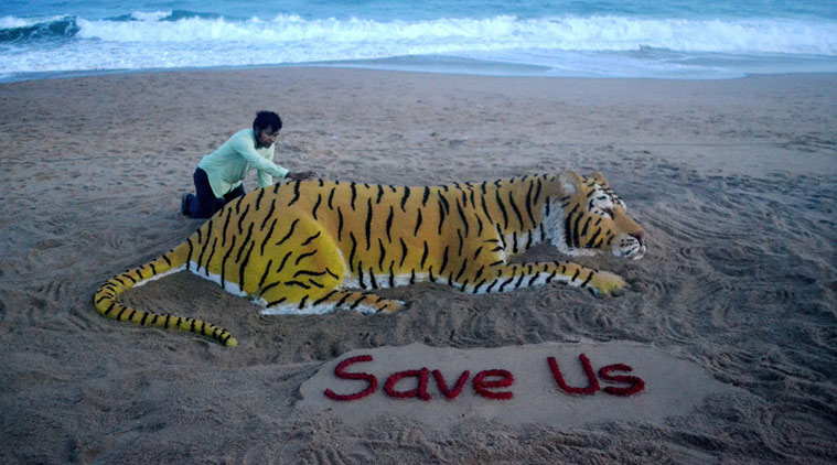 save tiger sand art on tiger day