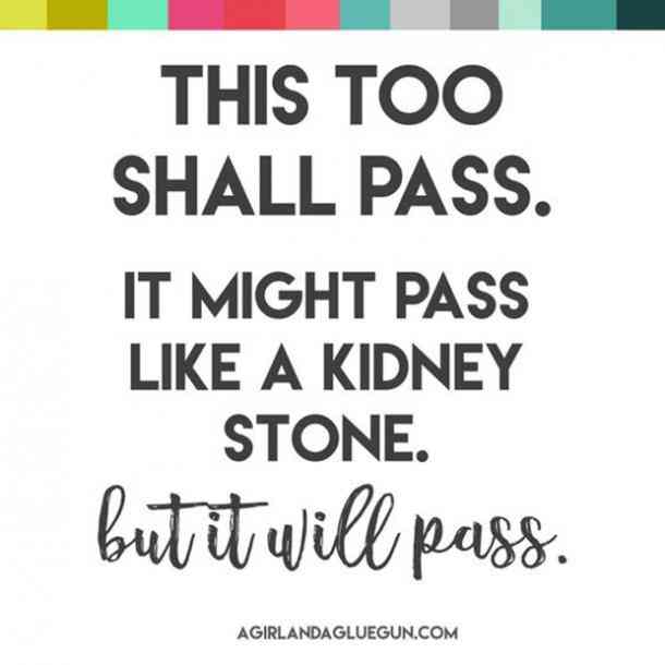 this too shall pass. it might pass like a kidnet stone. but it will pass.