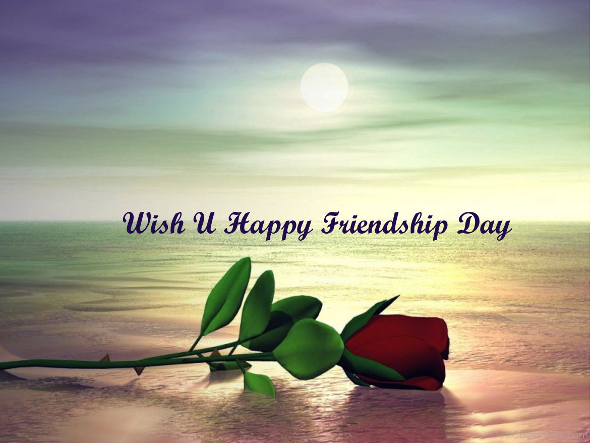 wish you happy friendship day rose bud picture