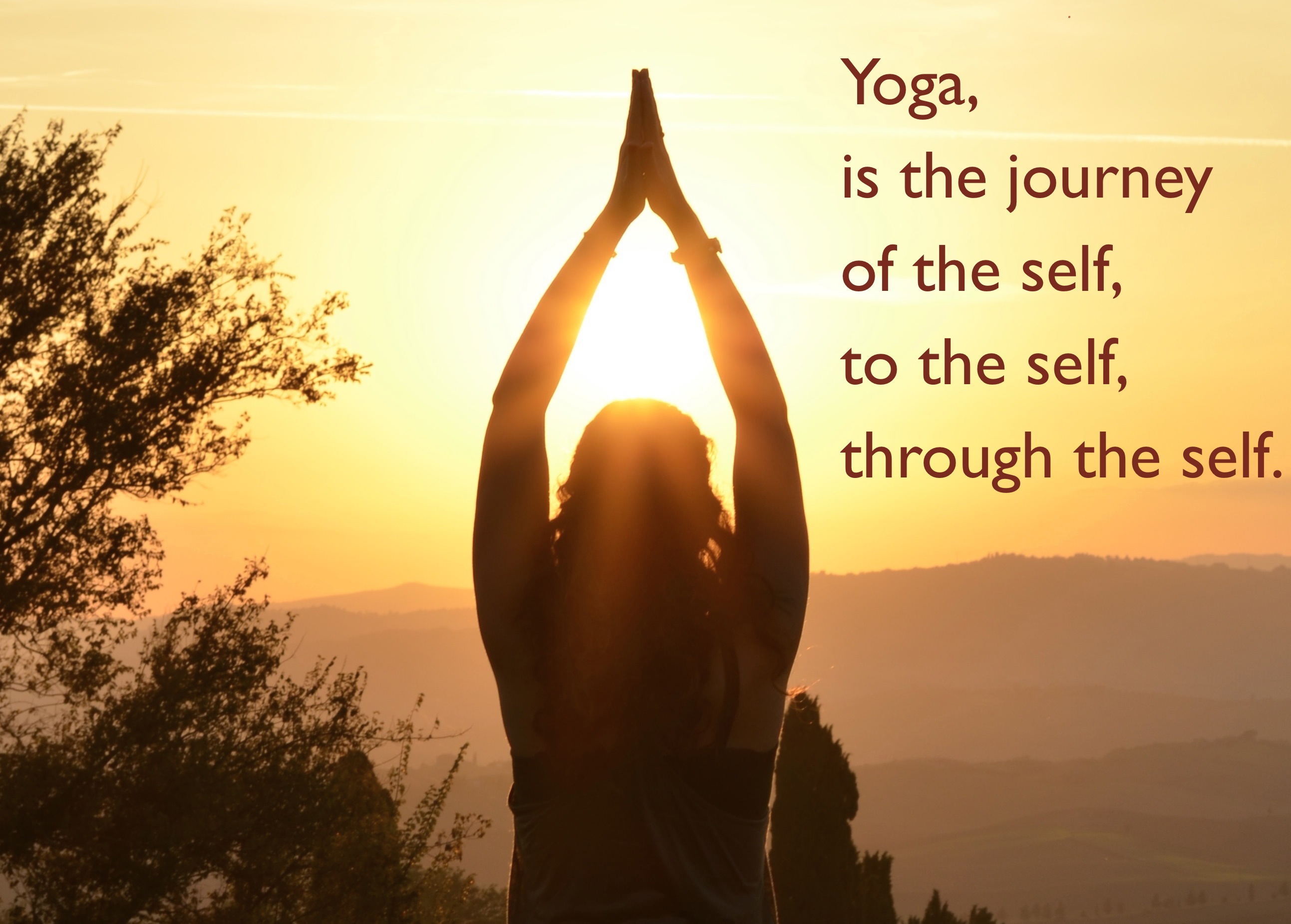 yoga is the journey, of the self, to the self, through the self International Yoga Day